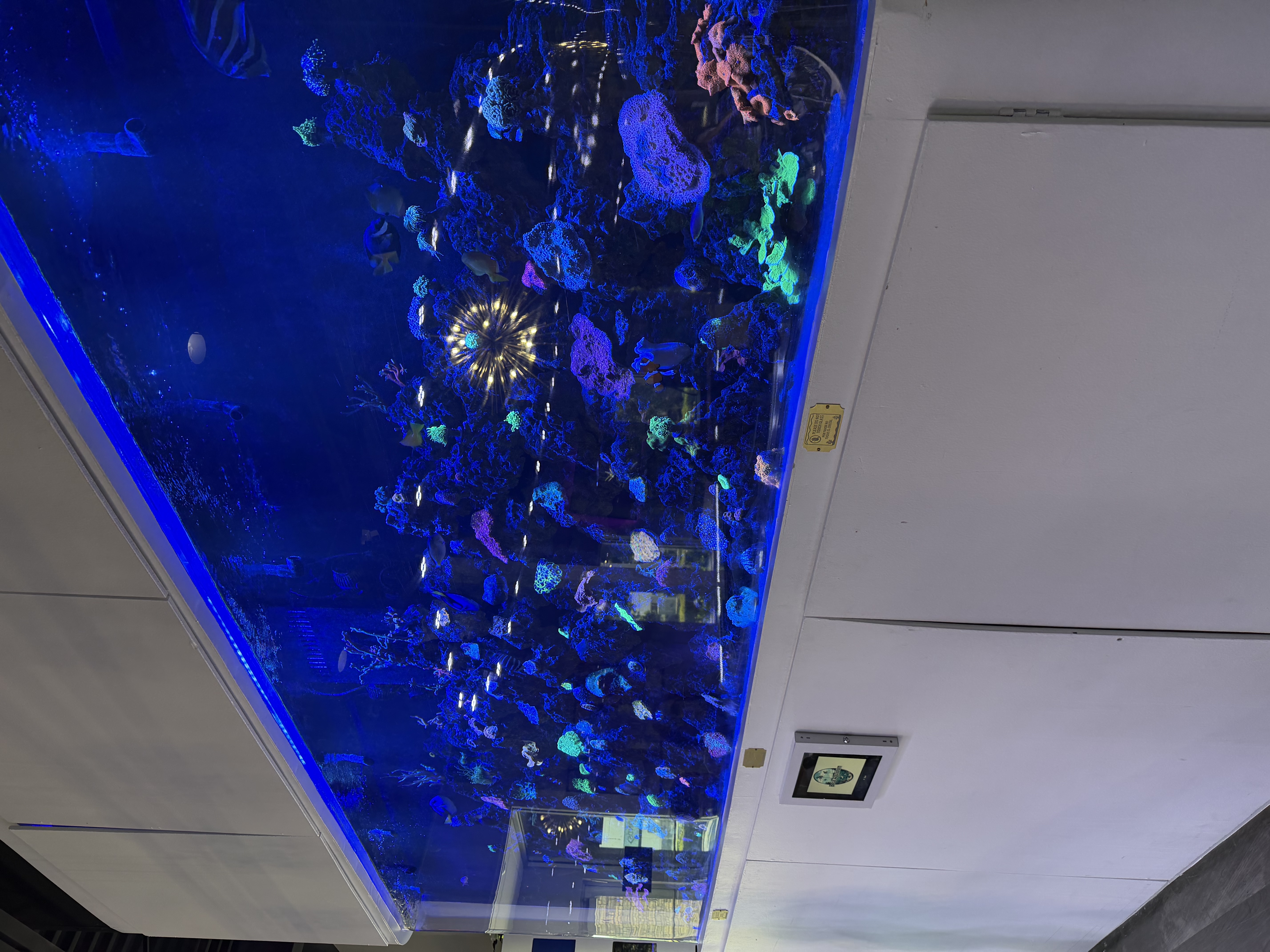 Boca Aquarium — photo 2