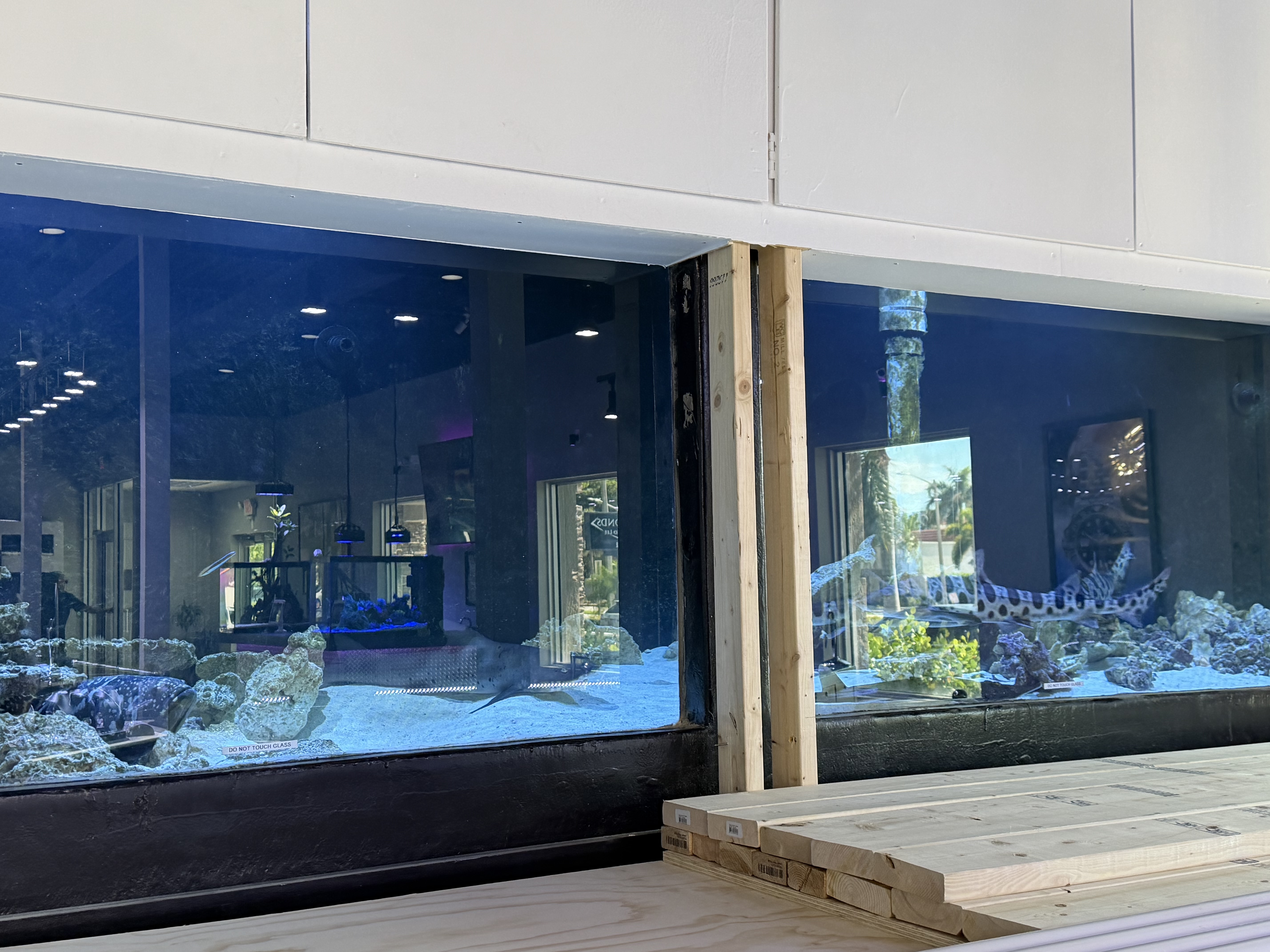 Boca Aquarium — photo 3