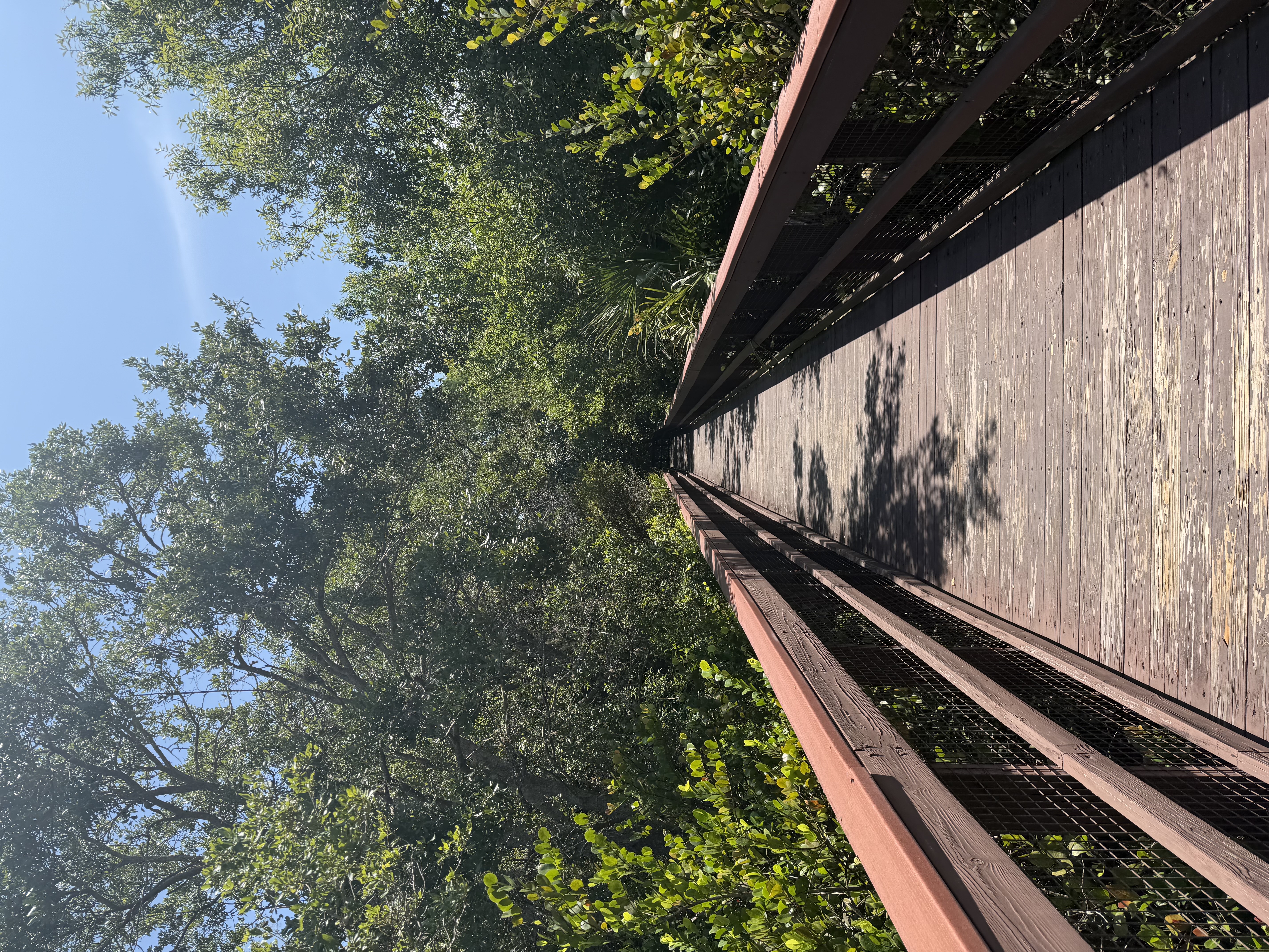 Daggerwing Nature Center — photo 3