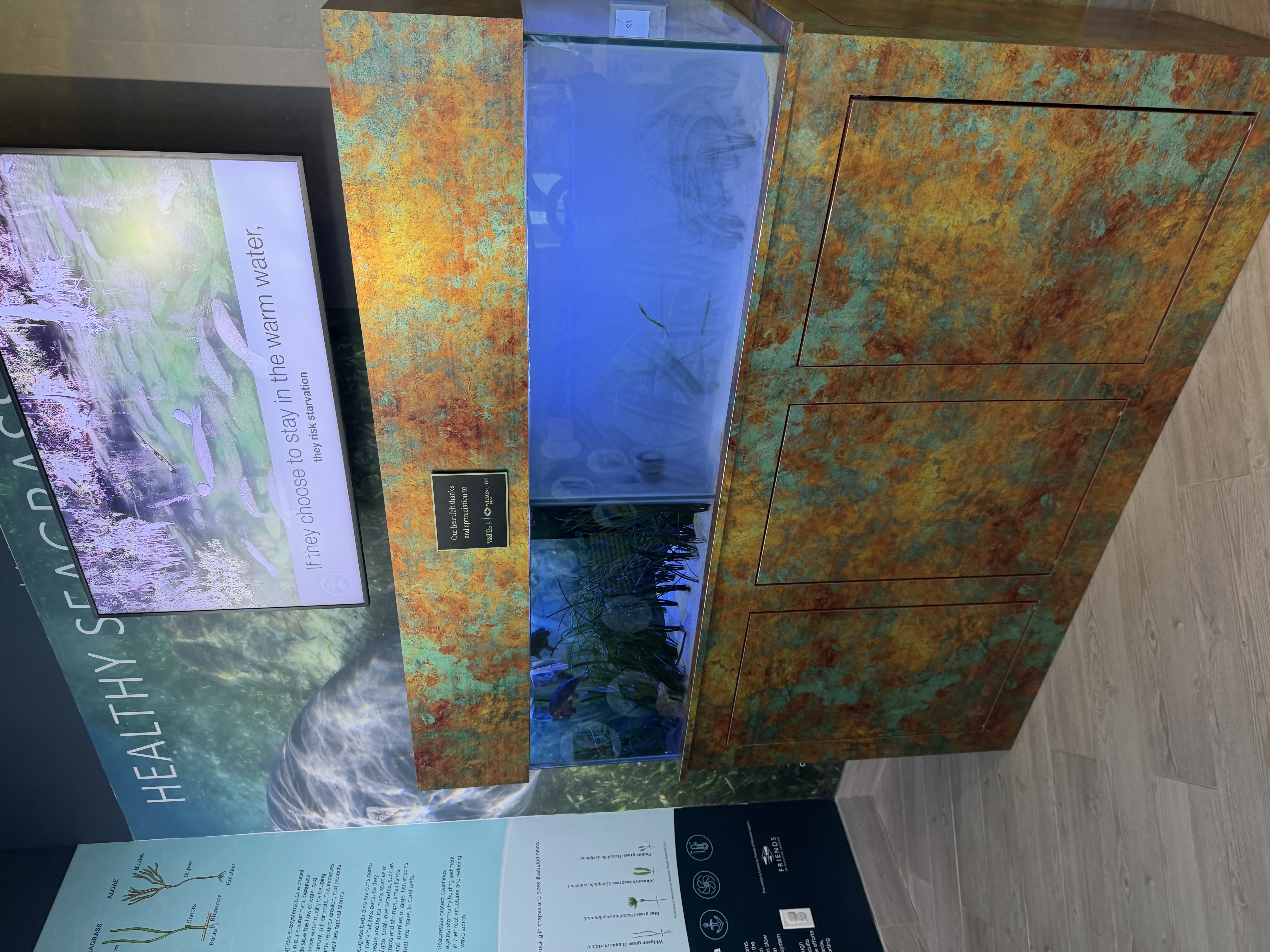 Manatee Lagoon — photo 5